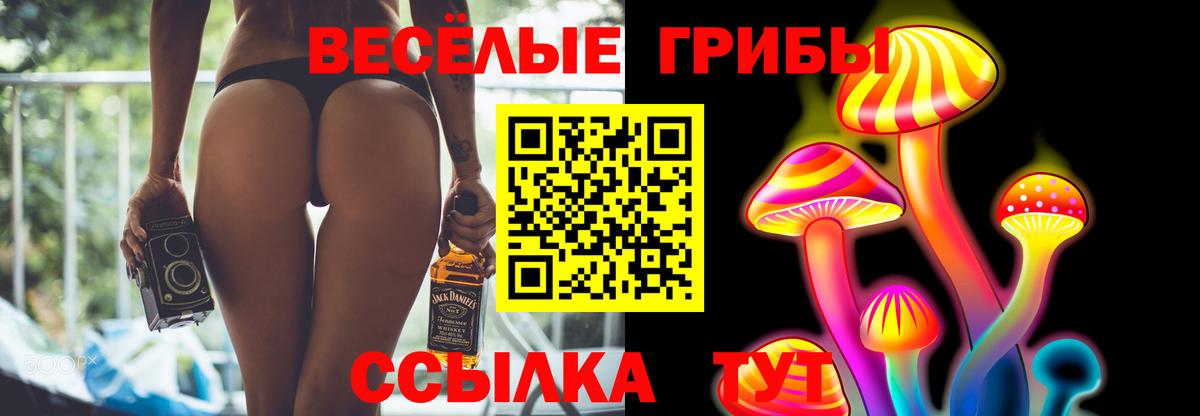 Псилоцибиновые грибы Psilocybine cubensis Гурьевск